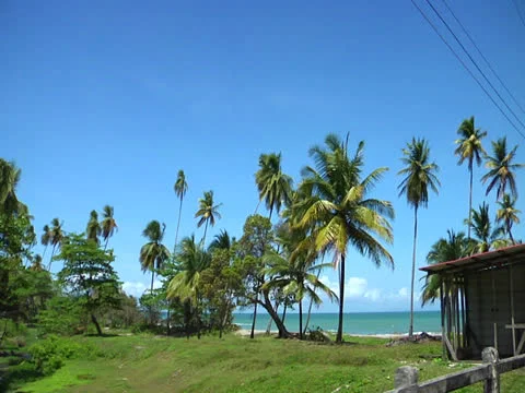 Seaside Drive Video stock 25953153