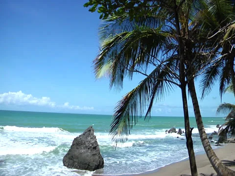 Seaside Drive Stock Footage 25955067