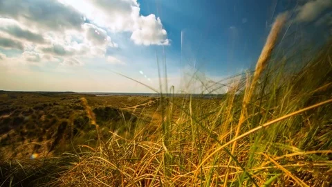 Seaside Dunes Timelapse Stock Footage 77643121