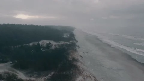 Seaside dunes at winter time, evergreen pine forest, aerial view 스톡 동영상 146083047