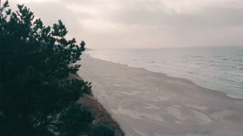 Seaside dunes at winter time, evergreen pine forest, aerial view 스톡 동영상 146083194