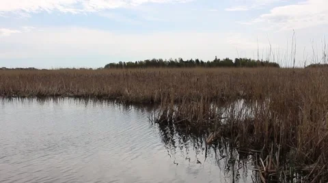 Seaside during spring day Stock Footage 49902334