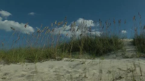 Seaside escape Stock Footage 12169692