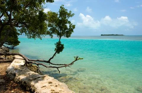 Seaside of the Florida Keys Stock Photos