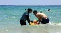 At the seaside HD Footage