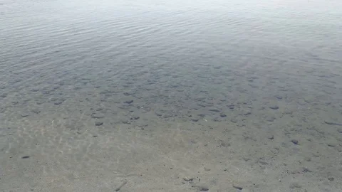 Seaside Stock Footage 94448557