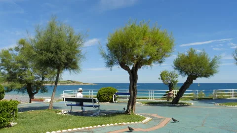 Seaside garden view Видео 142887240