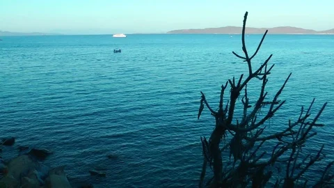 Seaside Holiday and Nature Concept Stock Footage 80402020