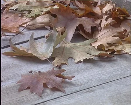 Seaside home in authmn Stockbeeldmateriaal 994914