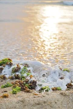 Seaside impression image in Taiwan. Stock Photos
