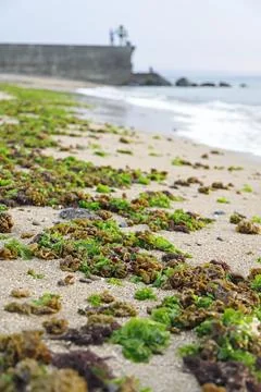Seaside impression image in Taiwan. Stock Photos