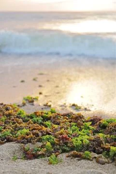 Seaside impression image in Taiwan. Stock Photos