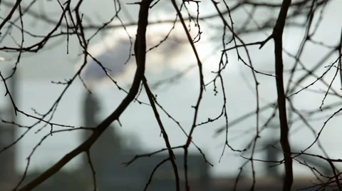 Seaside industry Stock Footage 49928884