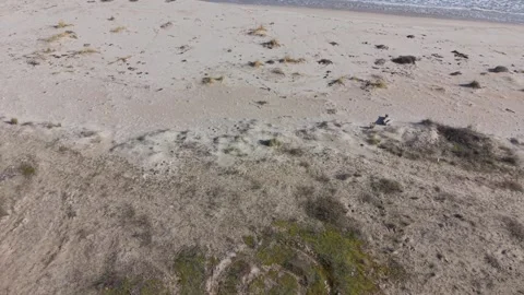 Seaside landscape with rolling waves sand and natural coastal textures Stock Footage 328571924