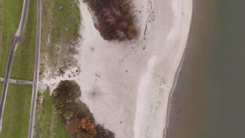 Seaside Landscape With Trees, Remote Sandy Coast With Vegetation And Erosion Video stock 325452781