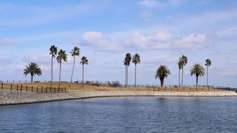 Seaside park and blue sky (Tanoura Coast, Oita City, Oita Prefecture) Stock Footage 338003857