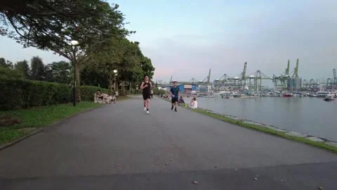 Seaside Park Running Evening Run Walk Healthy Lifestyle Stock Footage 242715952