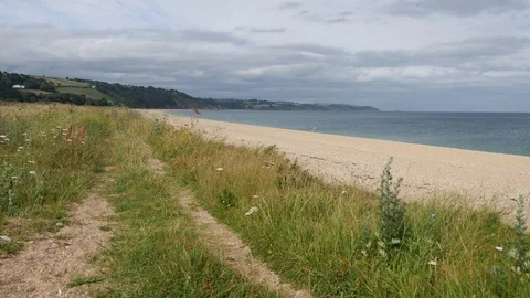 Seaside path, Slapton Sands, Devon Stock Footage 77436328