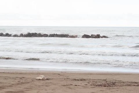 Seaside Stock Photos