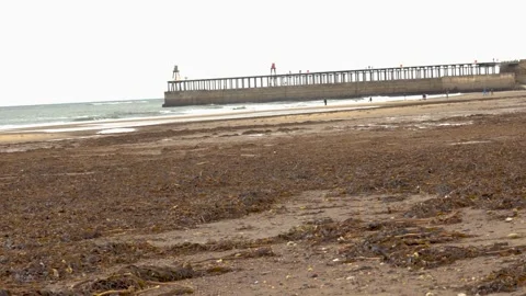 Seaside pier and beach Stock-Footage 217405535
