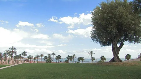 Seaside resort 2 Stock Footage 137938