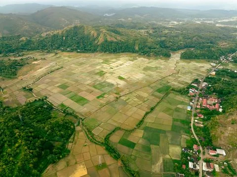 Seaside Rice Fields Sunset Stock Photos