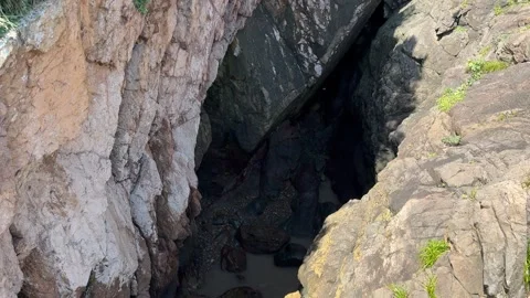 Seaside, rocks, Stock-Footage 313349705