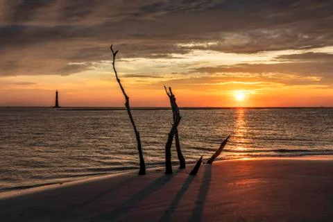 Seaside Sentinels Stock Photos