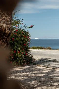 Seaside Serenity Stock Photos