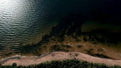 Seaside in summer. View from the top Stock Footage 207664013