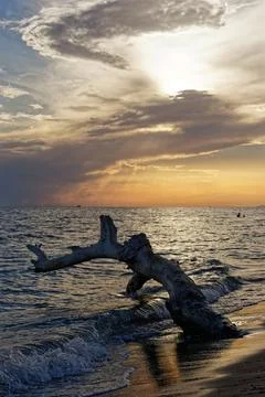 Seaside Sunset Stock Photos