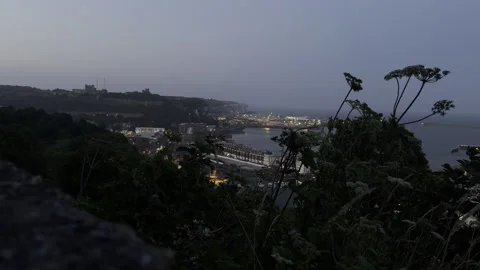 Seaside town harbor viewed through plants detail Stock Footage 340264396
