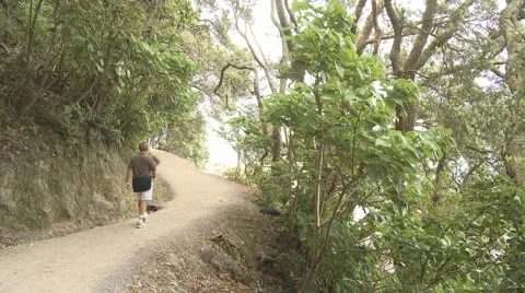 Seaside track with hiker Stock Footage 949271