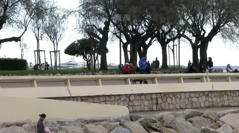 Seaside Trees Stock Footage 46039056
