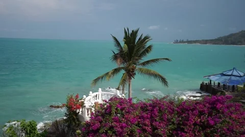 Seaside View With Beautiful Coconut Trees Stock Footage 244762823