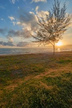 Seaside view of at dawn Stock Photos