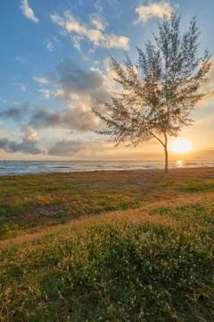 Seaside view of at dawn Stock Photos