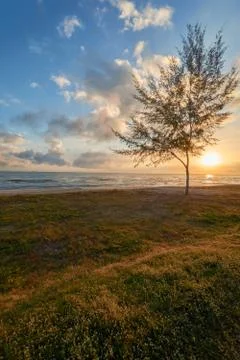 Seaside view of at dawn Stock Photos