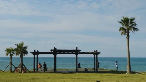 A seaside view overlooking the emerald sea with a view of the horizon. Tropical  Stock Footage 117693914