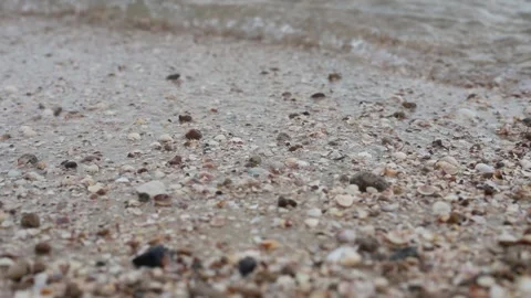 Seaside view of sandy beach and calm sea water with small rocks Stock Footage 241574132