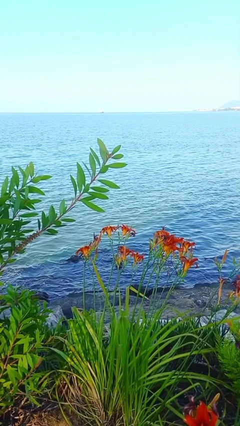 Seaside view in summer Stock Footage 262976327