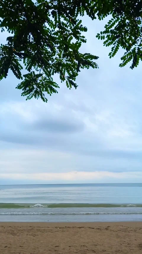 Seaside view in summer Stock Footage 263442737