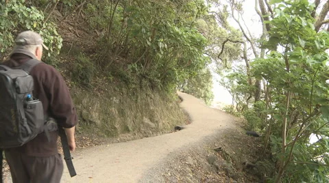 Seaside walking track Stock Footage 949220