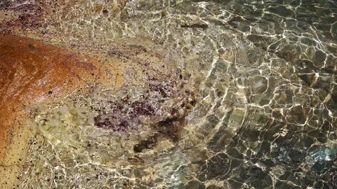 Seaside Waves and Rocks 1 Stock Footage 115330028