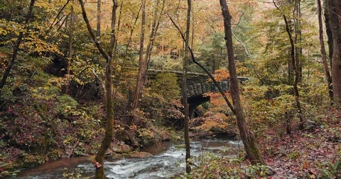 Season Changes from Summer to Fall to Winter in the Smoky Mountains Stock Footage 102781658