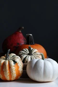 Season for pumpkin Foto stock