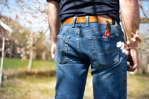 Season of the spring pruning Stock Photos