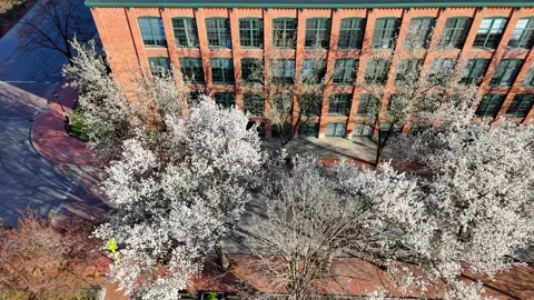 As the Season - Syracuse, NY Stock Footage 336586507