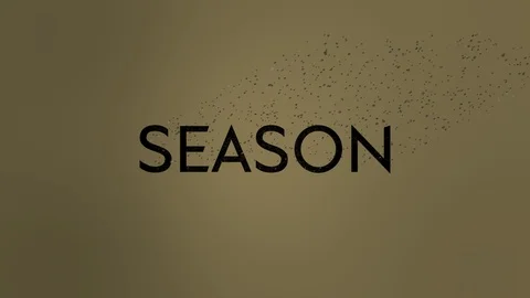 Season Text Wind Dissolve Video stock 102476396