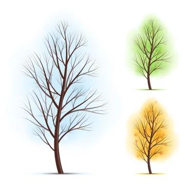 Season trees Stock Illustration